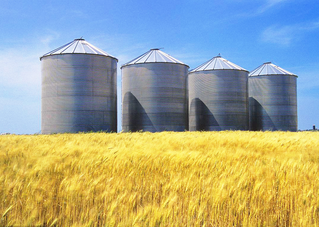 Flat Bottom Storage Silos 8